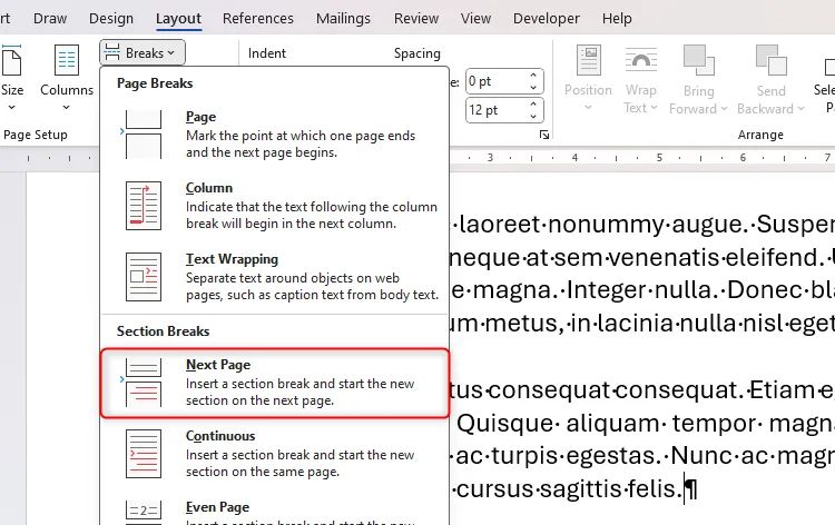 Cách chèn Section Break Next Page trong Microsoft Word từ menu Layout.