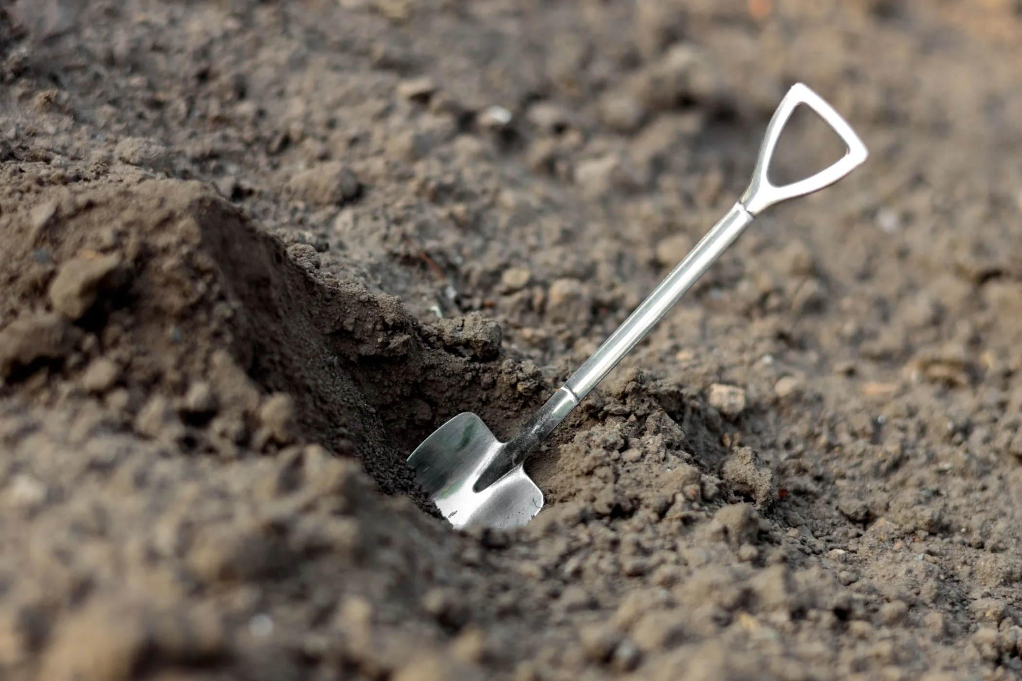 Hình ảnh ẩn dụ chiếc xẻng nhỏ cắm trên mặt đất, tượng trưng cho &quot;shovelware&quot; (rác phần mềm) trong ngành công nghiệp game VR.