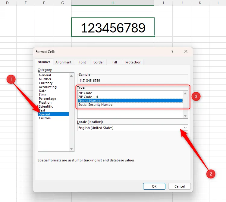 Hộp thoại định dạng đặc biệt Special trong Excel với vùng miền Hoa Kỳ và tùy chọn số điện thoại được chọn