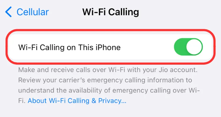 Màn hình cài đặt cho phép bật/tắt Wi-Fi Calling trên thiết bị iPhone.