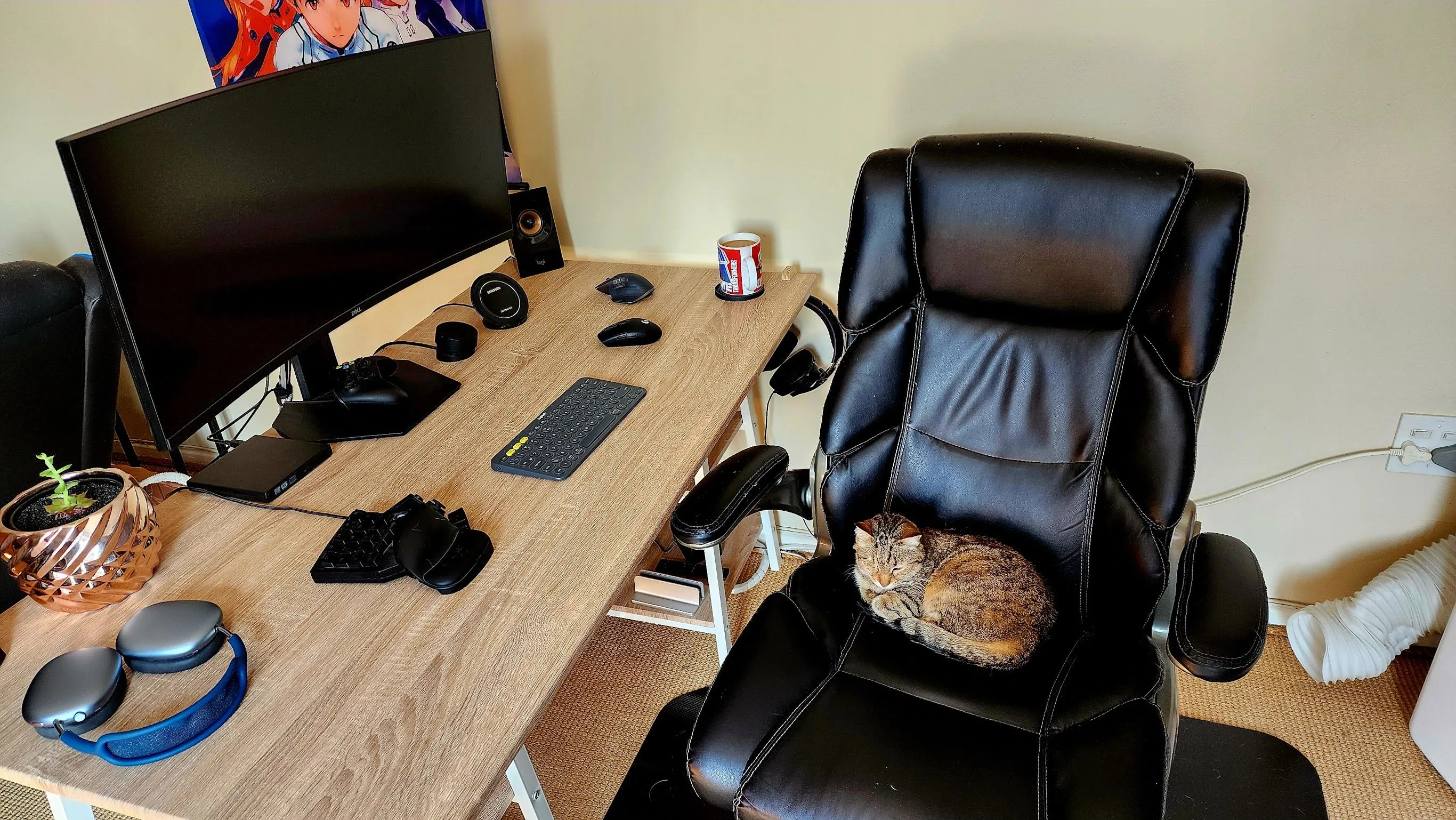Màn hình ultrawide Dell đang được sử dụng cho công việc, thể hiện khả năng đa nhiệm.