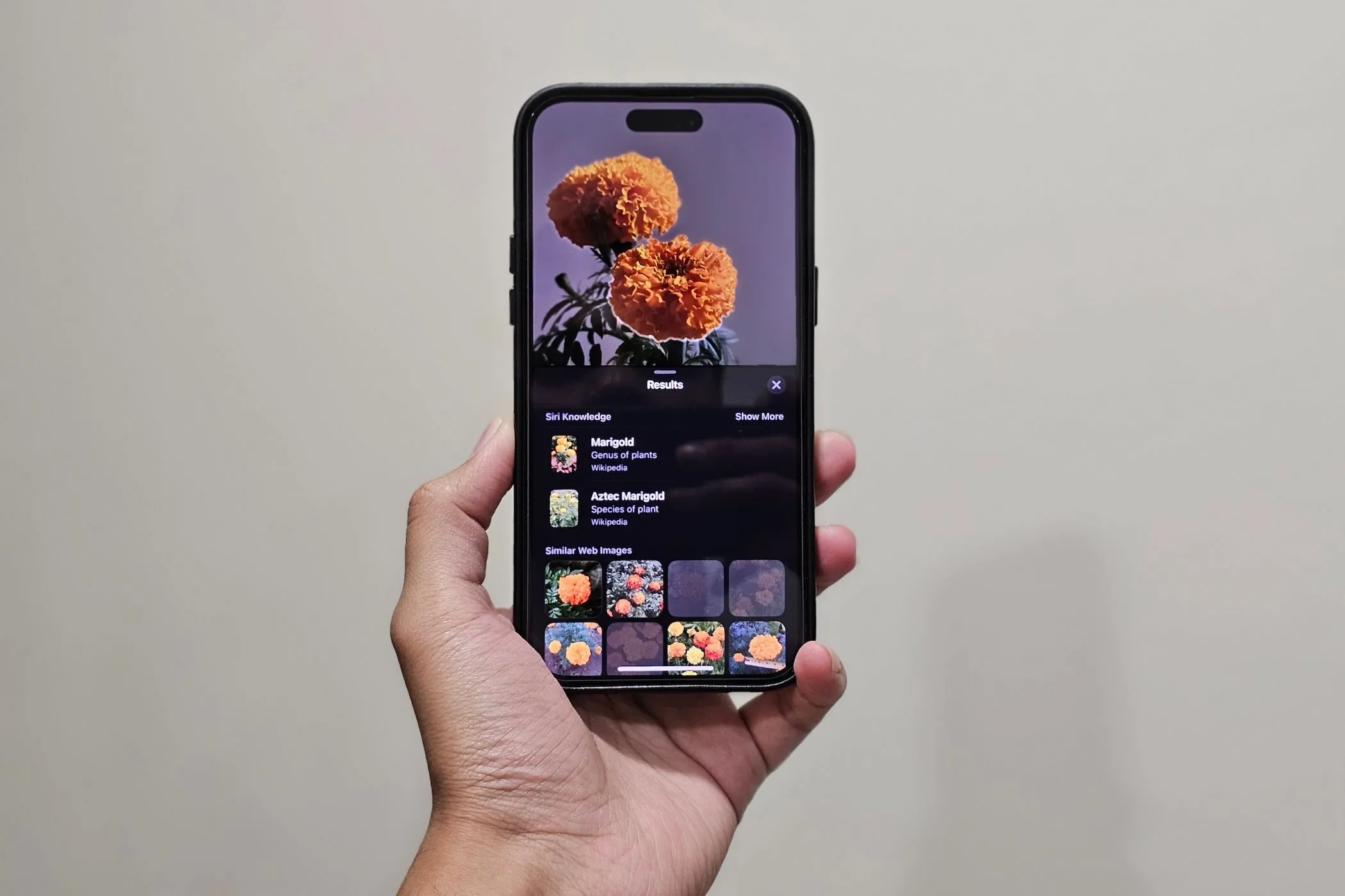Image default