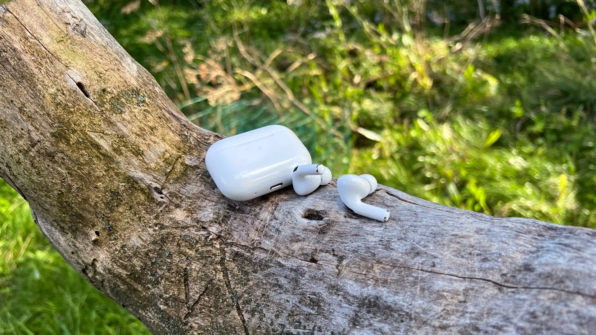 Tai nghe Apple AirPods Pro 2 với hộp sạc đặt trong vỏ cây, thể hiện tính di động.
