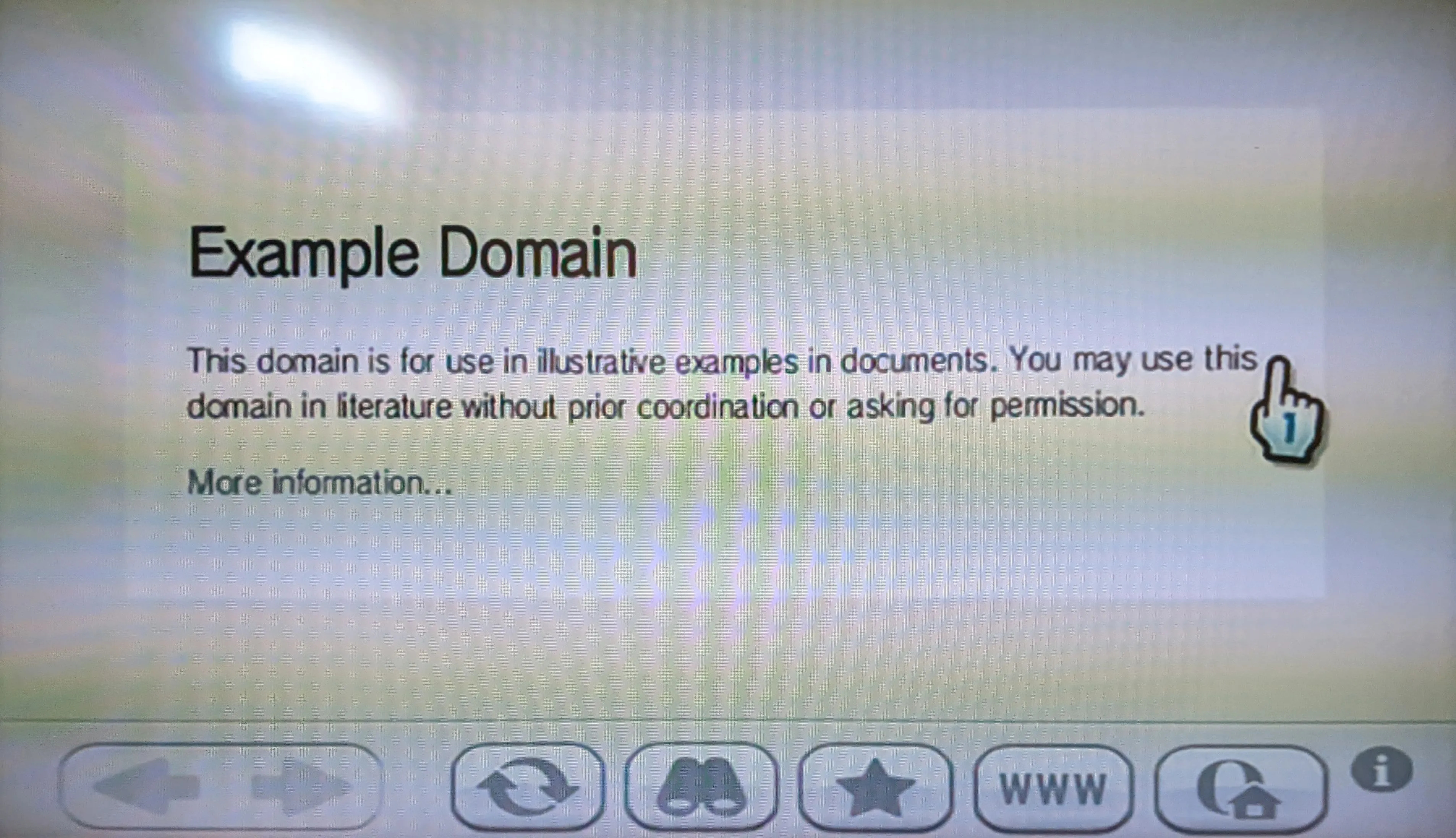 Trình duyệt Opera trên Wii hiển thị trang web example.org đơn giản với văn bản đen trên nền trắng, minh họa khả năng tải trang cơ bản.