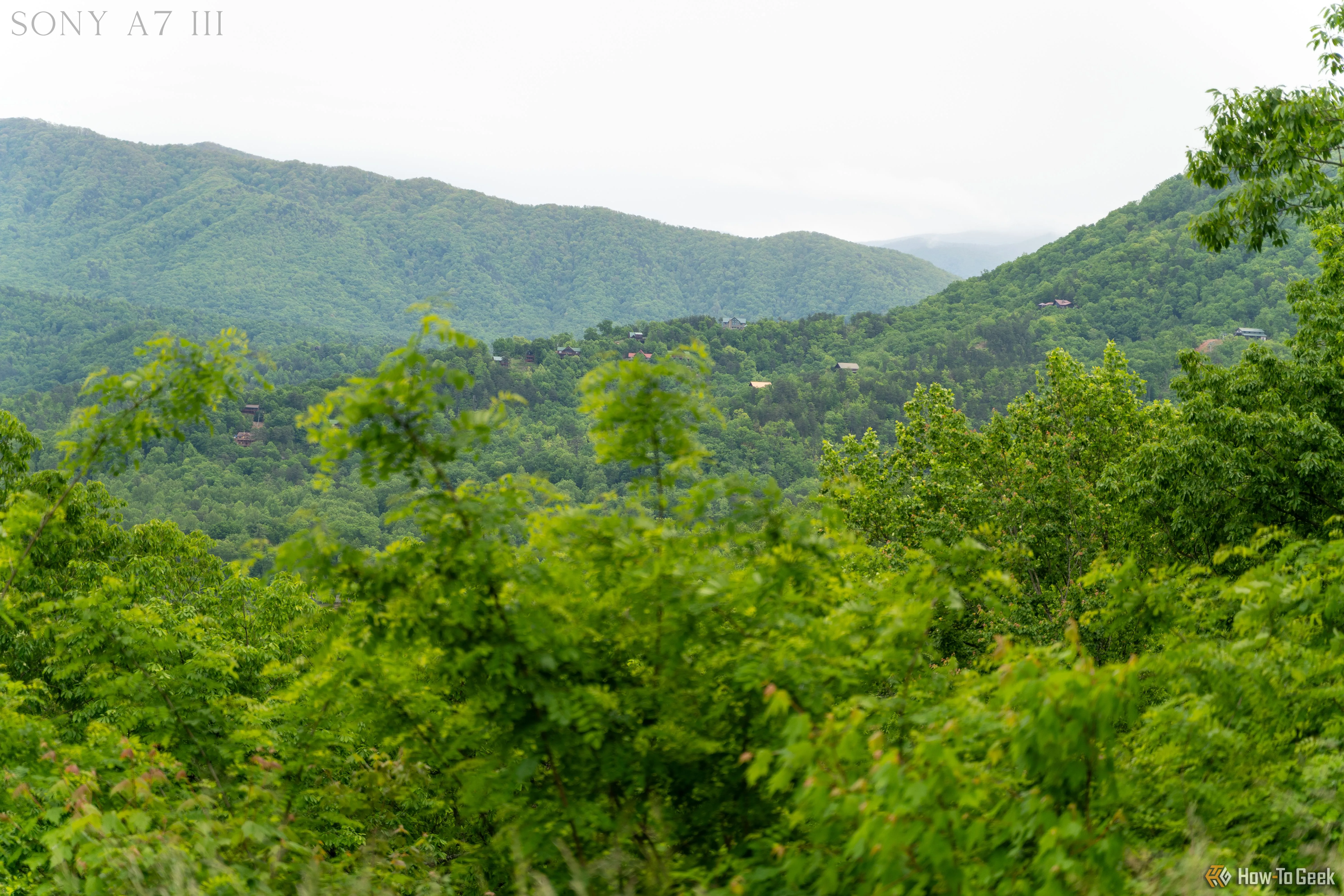 Bức ảnh phong cảnh tuyệt đẹp chụp từ máy ảnh Sony A7 III tại Công viên Quốc gia Great Smoky Mountains.