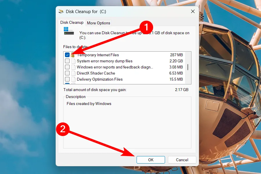 Danh sách các loại tệp có thể xóa trong Disk Cleanup trên Windows 11, giúp giải phóng dung lượng lưu trữ.