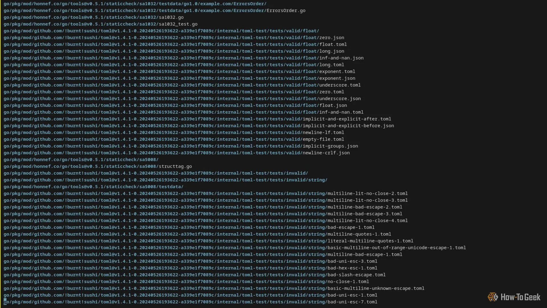 Danh sách đường dẫn file được trả về bởi lệnh fd trong terminal Linux, thể hiện khả năng tìm kiếm file nhanh và hiệu quả.