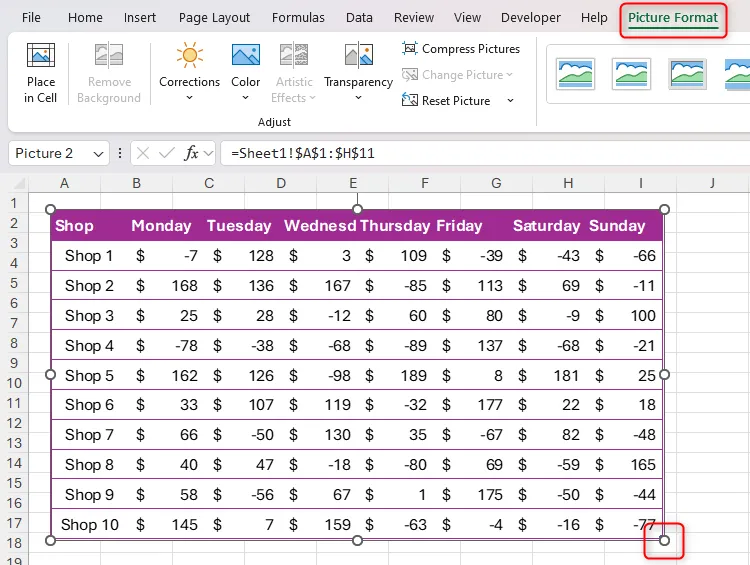 Dữ liệu Excel được sao chép thành ảnh động bằng Camera Tool, với tay cầm thay đổi kích thước và tab Picture Format.