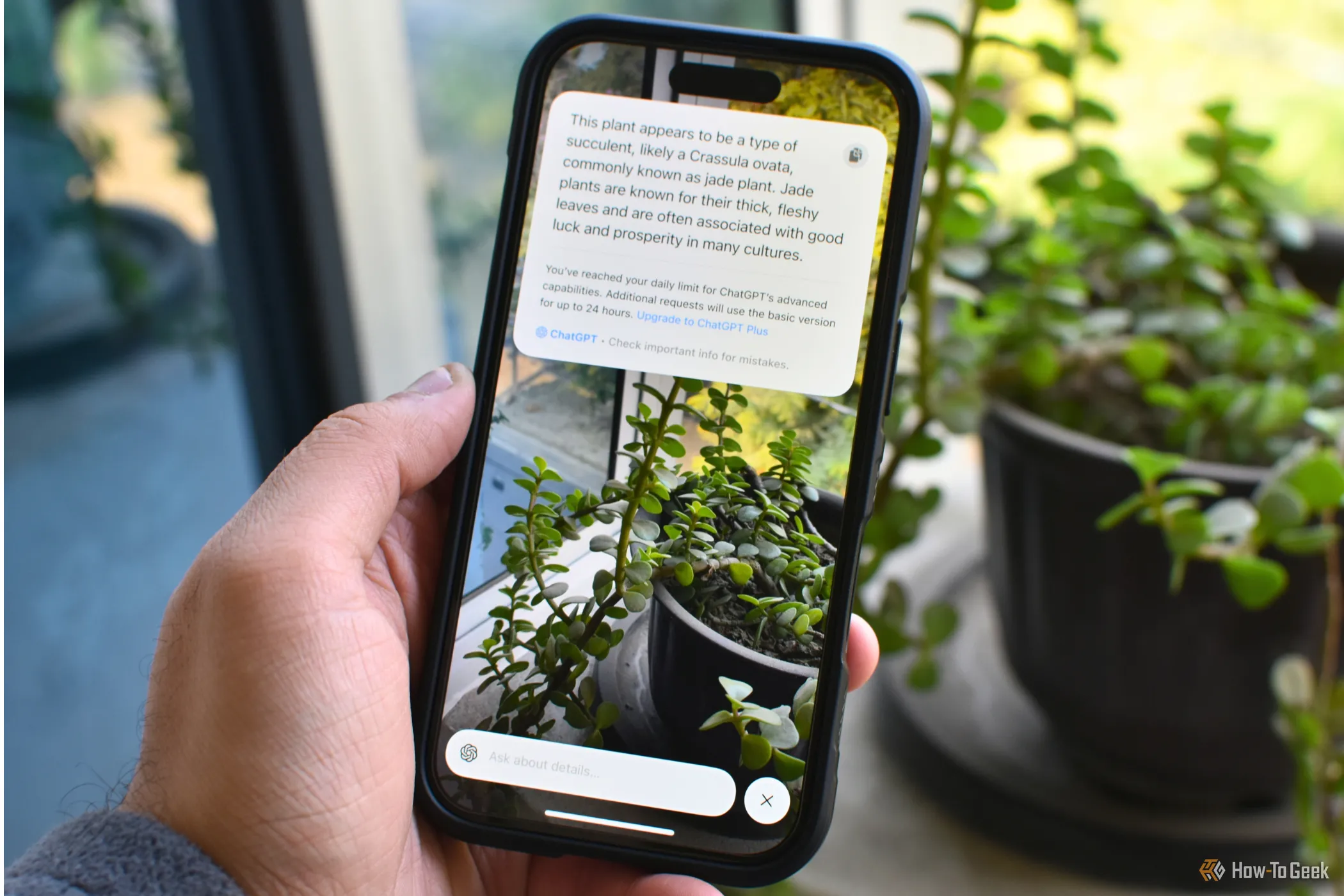 iPhone 16 Plus hiển thị tính năng Visual Intelligence trên màn hình, minh họa khả năng AI của Apple.