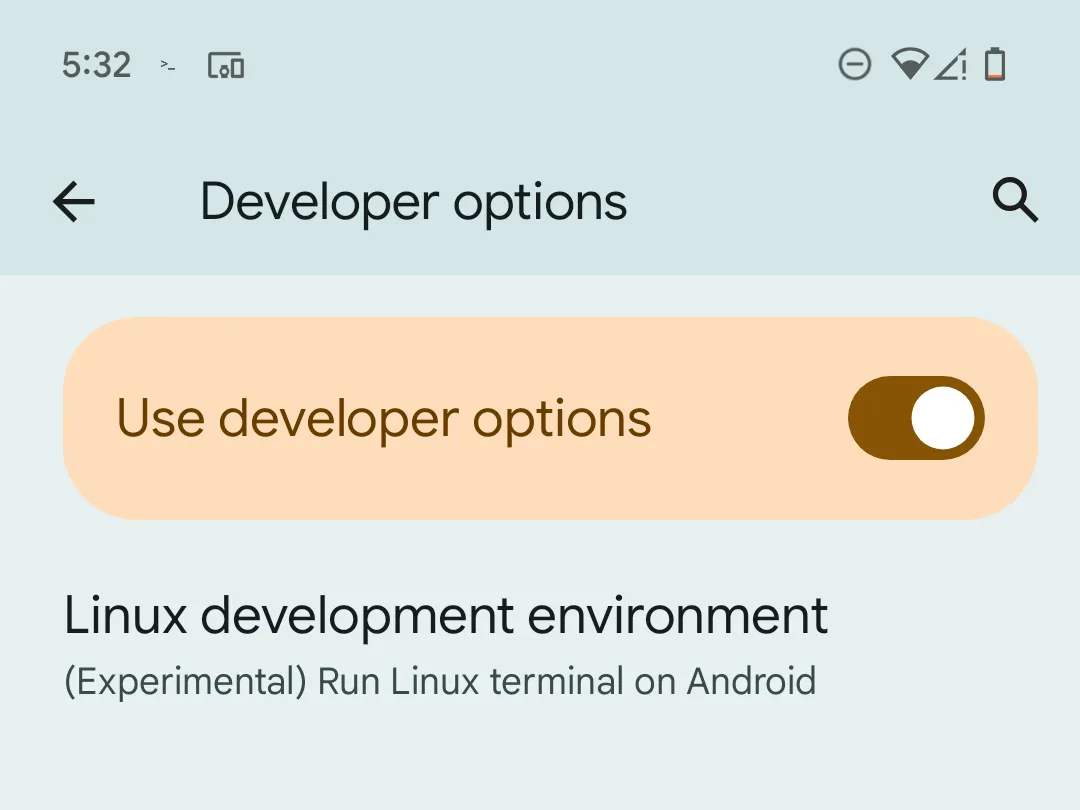 Màn hình tùy chọn nhà phát triển trên Pixel hiển thị mục &quot;Môi trường phát triển Linux&quot; (Linux development environment), cho phép bật Terminal Linux.