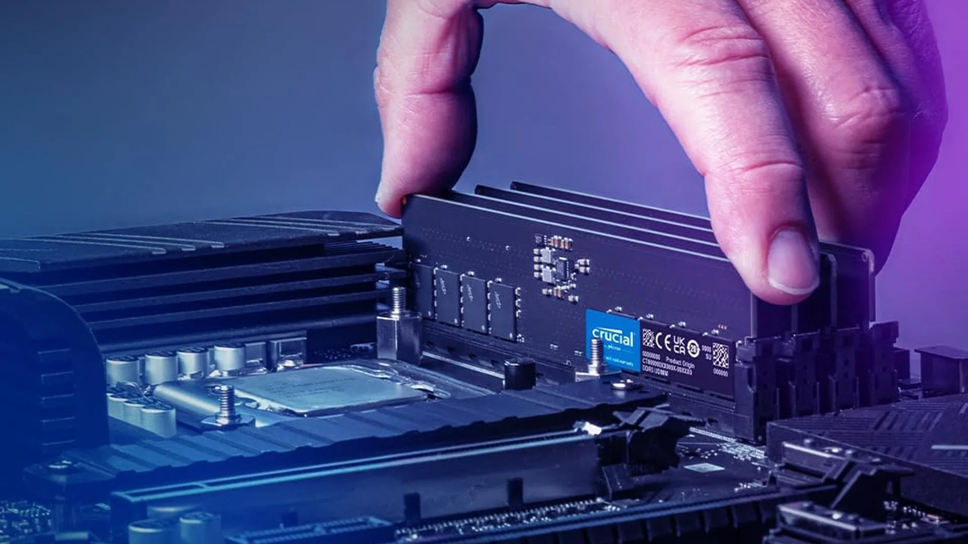 Một bàn tay cẩn thận lắp thanh RAM DDR5 Crucial vào khe cắm trên bo mạch chủ