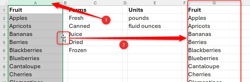 Một cột được chọn trong Excel và được sao chép sang một cột khác bằng cách nhấp và kéo trong khi giữ phím Ctrl.