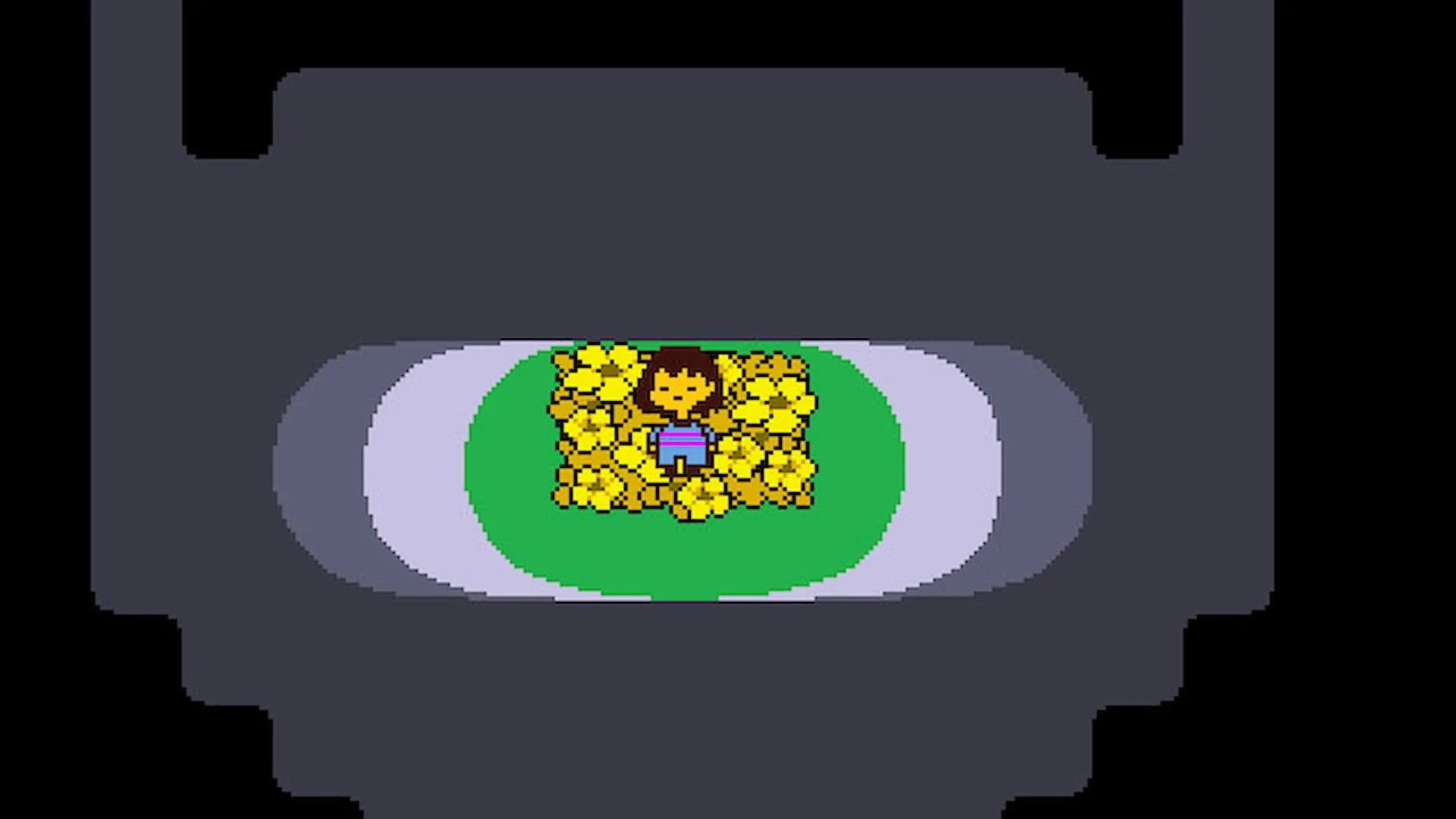 Nhân vật chính của Undertale giữa những đóa hoa, gợi nhắc bí ẩn W. D. Gaster.