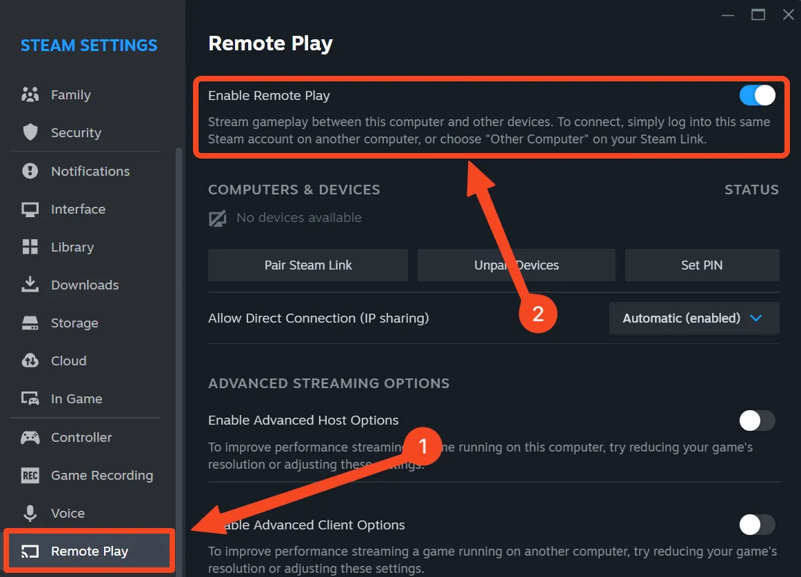 Tab tùy chọn Steam Remote Play.