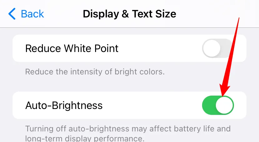Tùy chọn Độ sáng tự động trong Màn hình &amp; Cỡ chữ trên iPhone