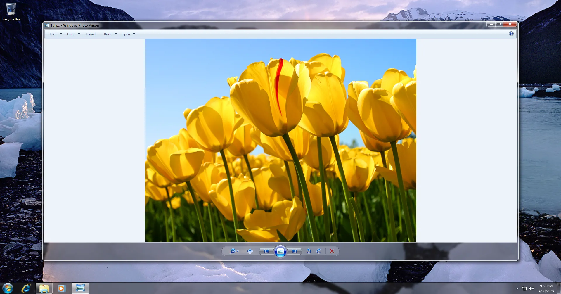 Giao diện Windows Photo Viewer cổ điển trên Windows 7