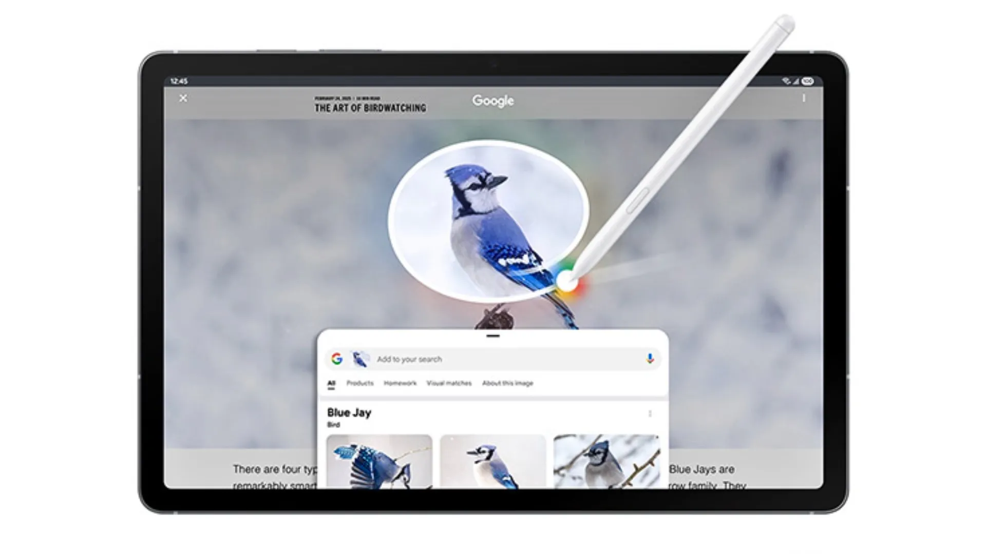 Tính năng Circle to Search của Galaxy AI trên One UI 7.0, tối ưu tìm kiếm trên Tab S10 FE.