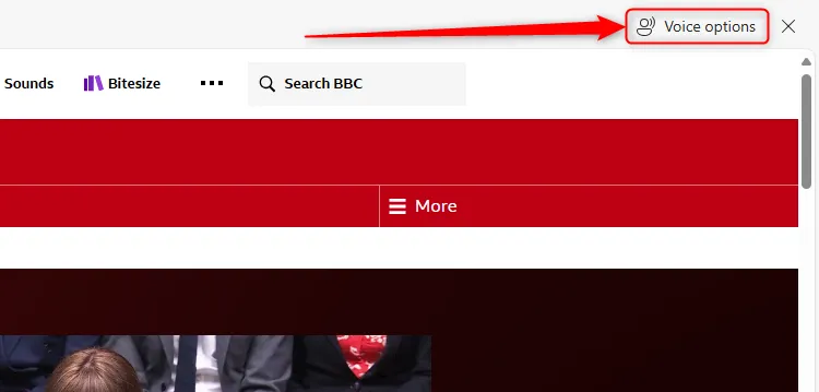 Biểu tượng tùy chọn giọng đọc trong tính năng Đọc to của Microsoft Edge.