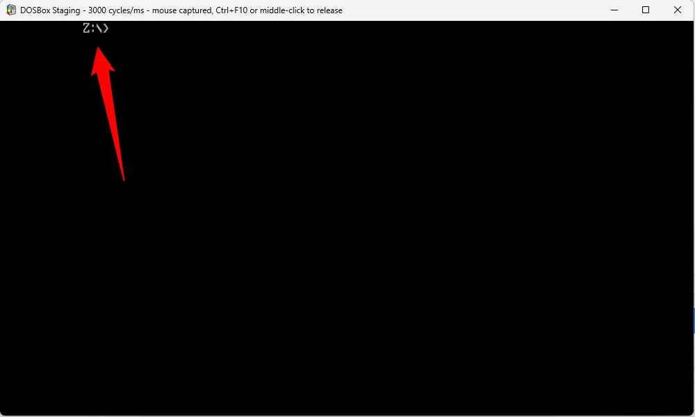Giao diện DOSBox Staging với dấu nhắc Z:&gt;, cho thấy ổ đĩa Z: đang hoạt động mặc định