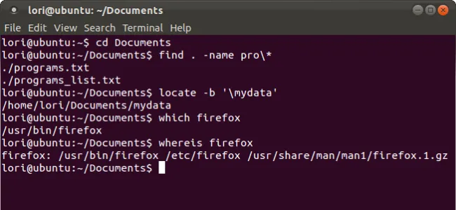 Minh họa các phương pháp tìm kiếm tệp tin và thư mục trên hệ điều hành Linux