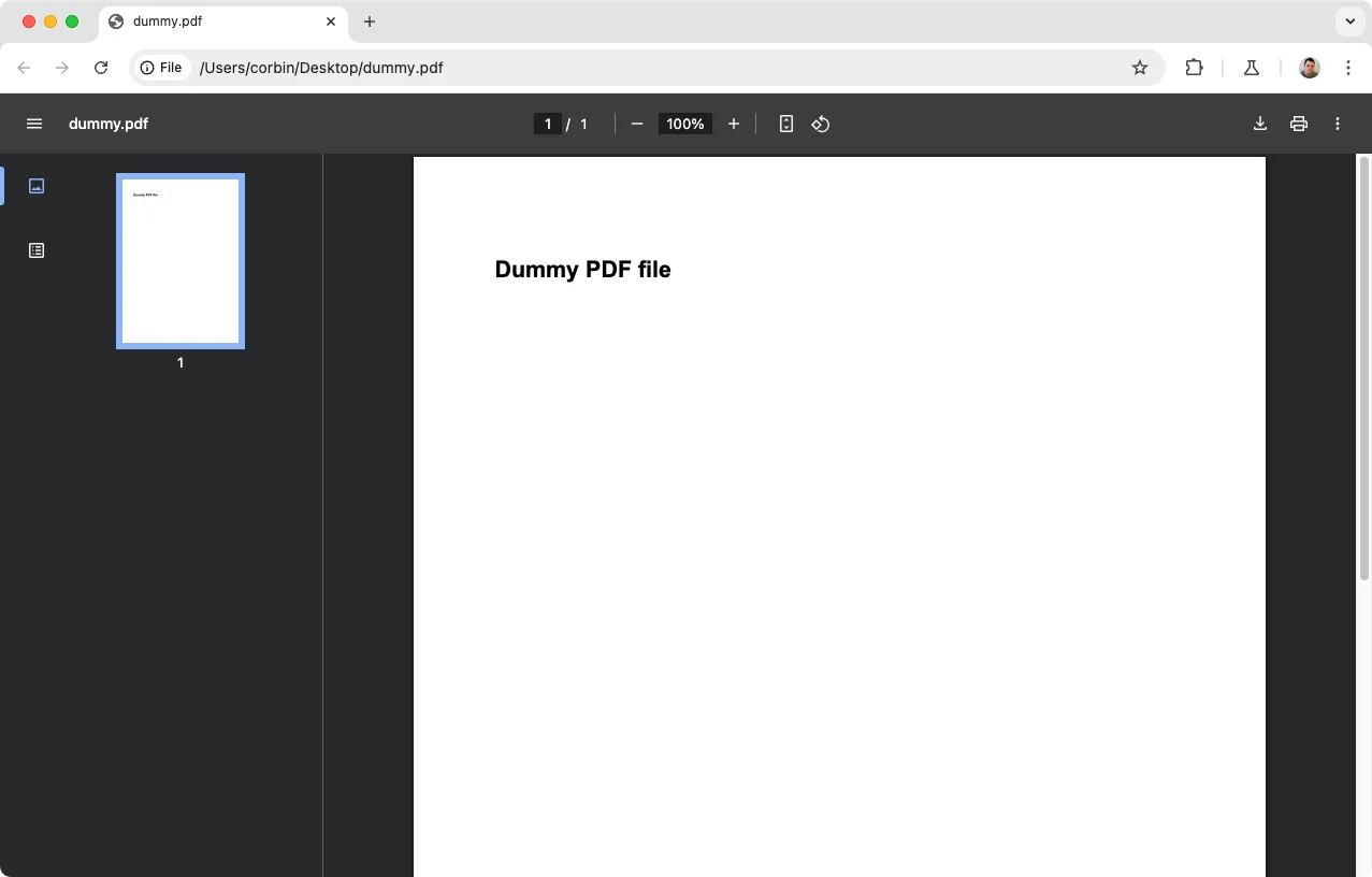 Một tài liệu PDF đang mở trong trình duyệt Google Chrome