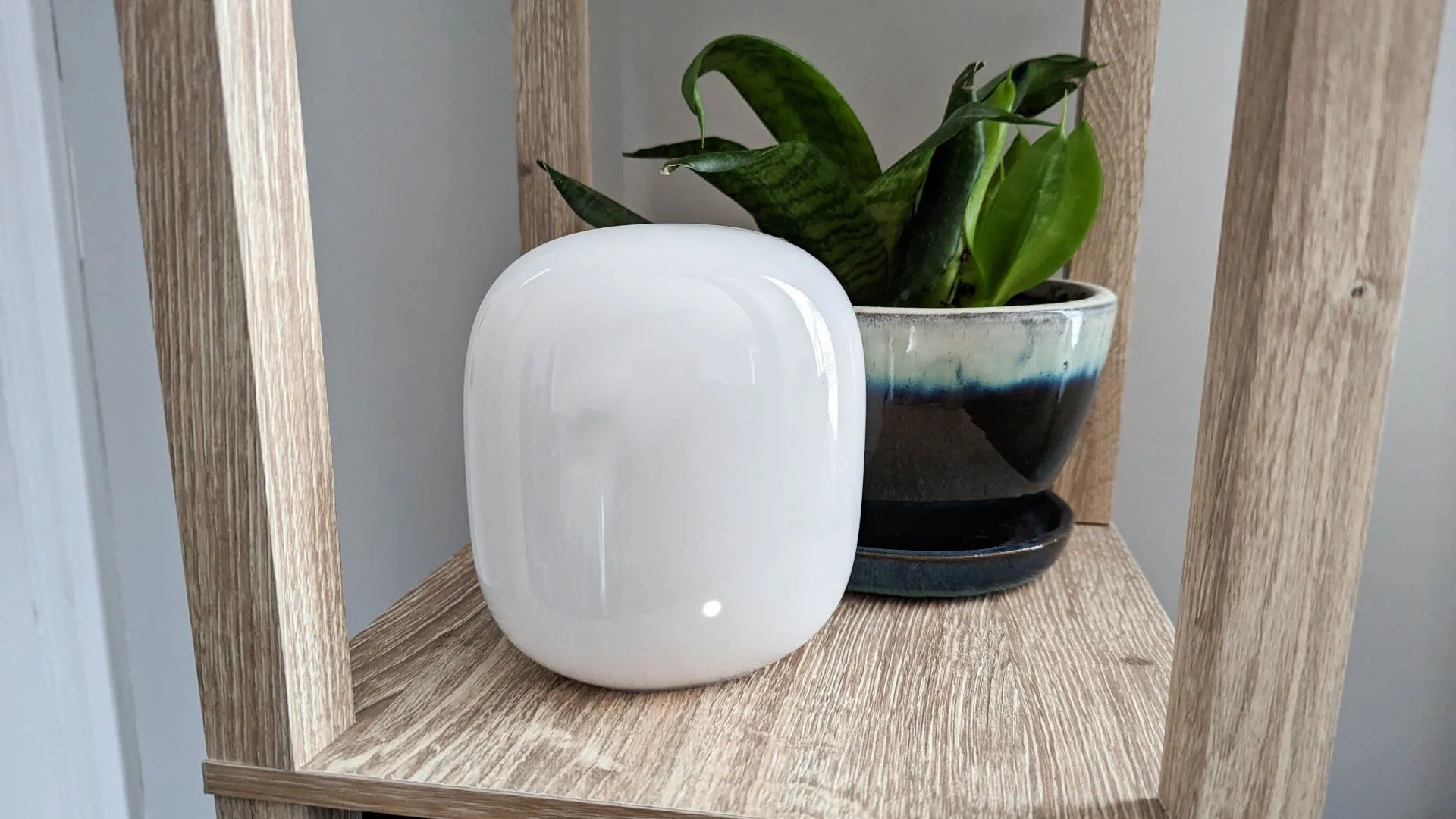 Nút mạng lưới Mesh Nest Wifi Pro đặt cạnh cây xanh trong nhà