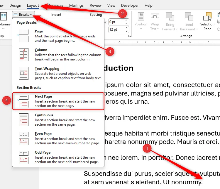 Tùy chọn Next Page Section Break trong Word, tạo ngắt đoạn để phân chia tài liệu thành các phần riêng biệt