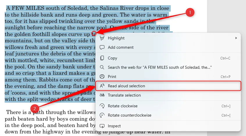 Văn bản được chọn trong tệp PDF của Microsoft Edge, tùy chọn Đọc to lựa chọn được làm nổi bật qua menu chuột phải.